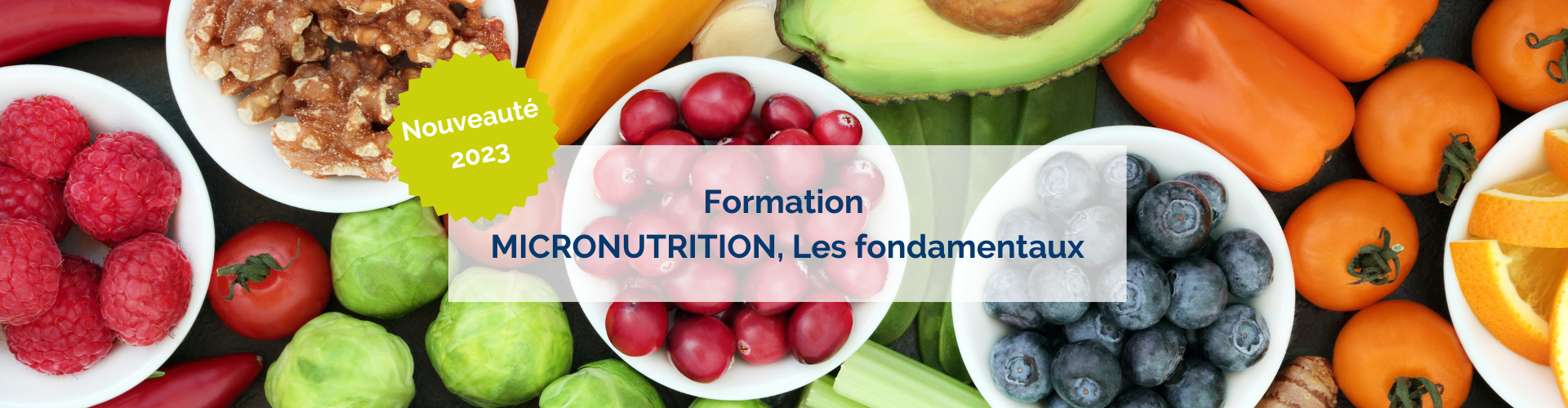 Consulter le programme de formation