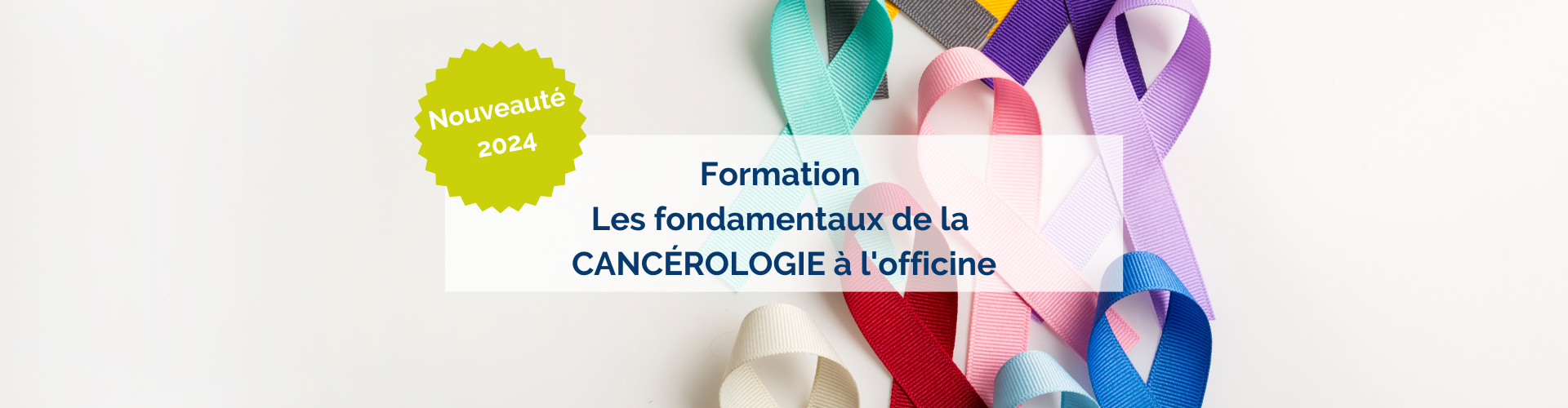Consulter le programme de formation