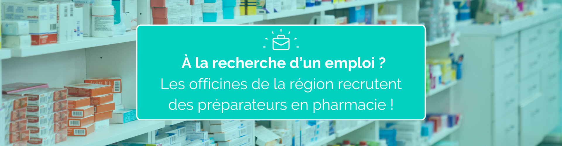 Découvrir les offres d’emploi