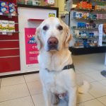 PHARMACIE DE DHUIZON